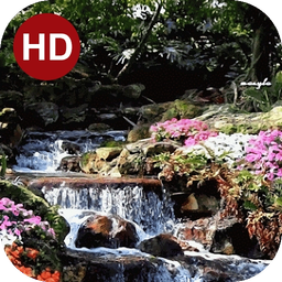 پس زمینه زنده آرامش 31