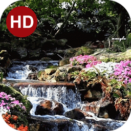 پس زمینه زنده آرامش 31