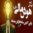هوش مالی
