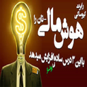 هوش مالی