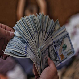 ایده ای پولساز و زودبازده