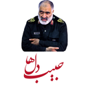 حبیب دلها - دفتر پنجم