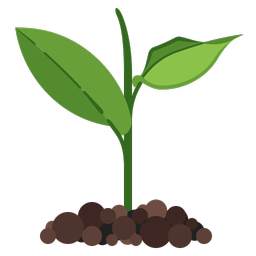 پرورش گیاه در آپارتمان و خانه