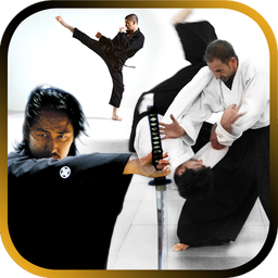 Martial arts training