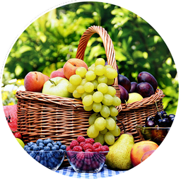 آموزش انگلیسی میوه و سبزیجات