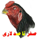 صفر تا صد لاری