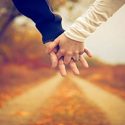 مسیر خوشبختی