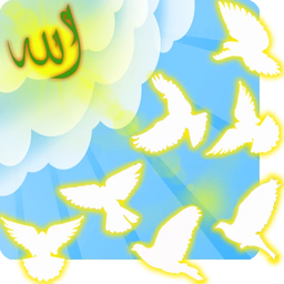 هفت روز آسمانی