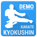 Kyokushin Karate (Demo)