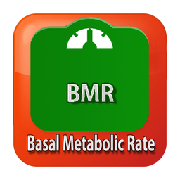 BMR Calculator