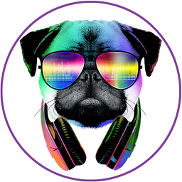 Mr.DOG