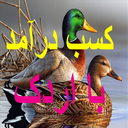 کسب درآمد با اردک