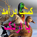 کسب درآمد با اردک