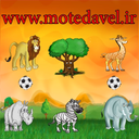 bazivalibalheyvanat
