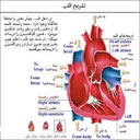 نکات طلایی زیست کنکور