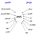 مراقبت های پرستاری از زخم بستر