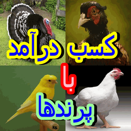 کسب درآمد با پرندها