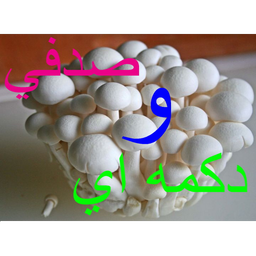 اموزش پرورش قارچ در خانه تضمینی