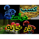 کسب درآمد با پرورش قارچ درخانه