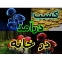 کسب درآمد با پرورش قارچ درخانه