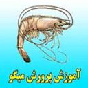 قدم به قدم با پرورش ماهی ومیگو