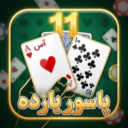 پاسور یازده پرو