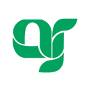 خدمات طراحی حرفه ای