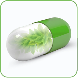 داروی گیاهی و طب سنتی