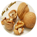 جملات پر مغز