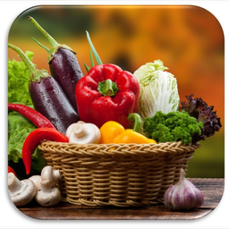 رژیم غذایی کانادایی