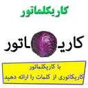 کاریکلماتور - کاریکاتوری از کلمات!