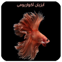 آبزیان آکواریومی