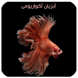 آبزیان آکواریومی
