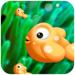 راهنمای جامع آکواریوم