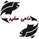 ماهی سفید
