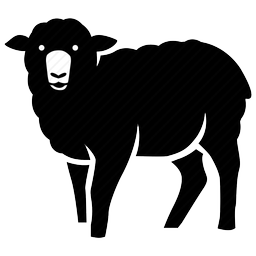 پرورش پرسود گوسفند