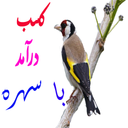 کسب درآمد با سهره