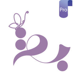 Butyle Professional