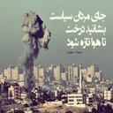 سیاست مردانه در همسر داری