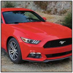 گذر موقت : فورد موستانگ