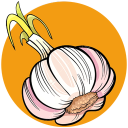 آموزش کاشت سیر