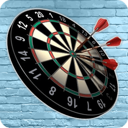 Professional darts