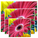 تغییر سایز عکس