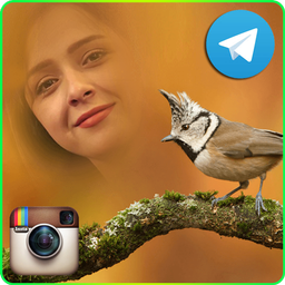 قاب عکس حیات وحش