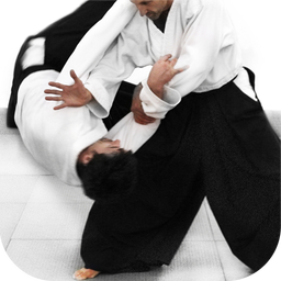 Aikido training