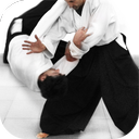 Aikido training