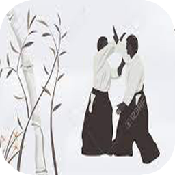 یادگیری آیکیدو در منزل