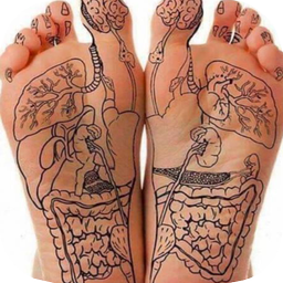 Learning Reflexology