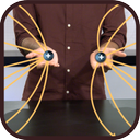 Physics 2 experimental field