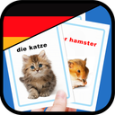 Learn German words with flash card